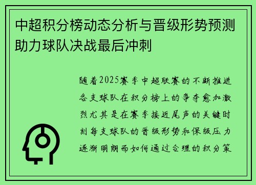 中超积分榜动态分析与晋级形势预测助力球队决战最后冲刺 中超积分榜动态分析与晋级形势预测助力球队决战最后冲刺